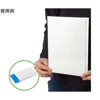 【小箱売】ラミネート宅配封筒 DVDサイズ(三層ラミ白)190×250+40mm(12×5) 60枚入 1190115 1箱(60枚)（直送品）