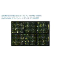 マツナミ DMSO対応スライドグラス 高密度化アミノ基導入コート 25.4×76.2×1.0mm 25枚入 SDM0011 1箱(25枚)（直送品）