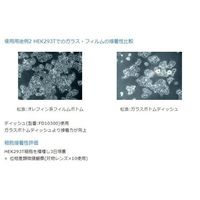 マツナミ フィルムボトムディッシュ 50枚入 FD10400 1箱(50枚) 67-8068-63（直送品）