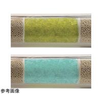 CRSガス精製フィルター SPure(TM)(インジケータ搭載) H?O 400cc 真鍮1/8" 202238XL-B 1本（直送品）