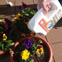 自然応用科学 まくだけで甦るシャワー 1.6kg 2056173 1個（直送品）