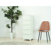 JEJアステージ　壁付デコニーシーヴォ5段　ホワイト　　1台