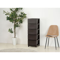 JEJアステージ　デコニーシーヴォ5段　ダークブラウン　　1台