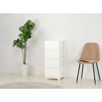 JEJアステージ　デコニーシーヴォ4段　ホワイト　　1台