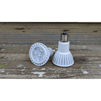 高島屋植物園 Plants NEXLIGHT PAR16 NL-PAR16-WC50/S 1個（直送品）