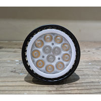 高島屋植物園 Plants NEXLIGHT PAR30 BLACK 電球色 NL-PAR303-BC95 1個（直送品）