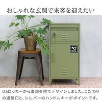 住まいスタイル ホルン ポスト一体型宅配ボックス No.01 幅440×奥行375×高さ840mm セージグリーン DB-001GRN 1台（直送品）