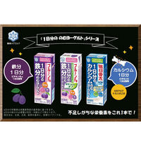 [冷蔵]雪印メグミルク プルーンFe 1日分の鉄分のむヨーグルト 190g×5個 4908011621633 1セット(5個)（直送品）