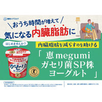 雪印メグミルク [冷蔵]雪印 恵 ガセリ菌SP株ヨーグルト 生乳仕立てプレーン 100g×10 49839357 1セット(10個)（直送品）