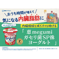 [冷蔵]雪印メグミルク 恵 ガセリ菌SP株ヨーグルト アロエ 100g×5 49839517 1セット(5個)（直送品）