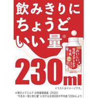 雪印メグミルク [冷蔵] おいしい雪印メグミルク牛乳 TT 230ml ×12個 4908011500068 1セット(12個)（直送品）