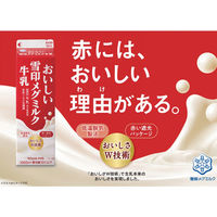 雪印メグミルク [冷蔵] おいしい雪印メグミルク牛乳 1000ml×3個 4908011500099 1セット(3個)（直送品）
