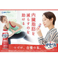 雪印メグミルク [冷蔵]雪印 恵 ガセリ菌SP株 ヨーグルトドリンクベリーミックス 100g×6 49839579 1セット(6個)（直送品）