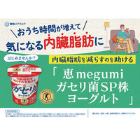 [冷蔵]雪印メグミルク 恵 ガセリ菌SP株ヨーグルト いちご 100g×5 49202359 1セット(5個)（直送品）