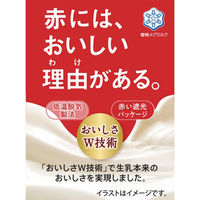 雪印メグミルク [冷蔵] おいしい雪印メグミルク牛乳 500ml×10個 4908011500082 1セット(10個)（直送品）