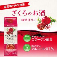 國盛 ざくろのお酒 梅酒仕立て パック　500ml 1本 中埜酒造　リキュール