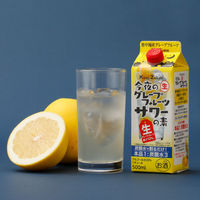 國盛 今夜のグレープフルーツサワーの素 パック 500ml 1本 中埜酒造 リキュール 割り材