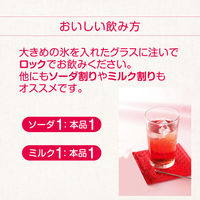 國盛 ざくろのお酒 梅酒仕立て パック　1L 1本 中埜酒造　リキュール