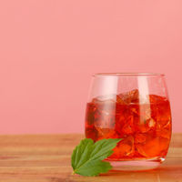 國盛 ざくろのお酒 梅酒仕立て パック　500ml 1セット（1本×12） 中埜酒造　リキュール