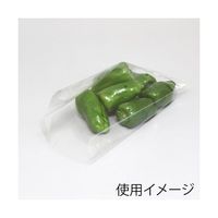 シモジマ スワン ボードンパック #20ー10L 穴あり プラマーク入り 100枚入 006763241 1パック(100枚)（直送品）