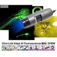 サンコー DinoーLite Edge M Fluorescence(蛍光)GFBW DINOAM4115TGFBW 1個（直送品）