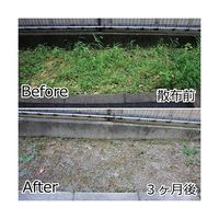 アズワン 除草材 草枯れ一番 PLUS 800g 63-7914-67 1個（直送品）