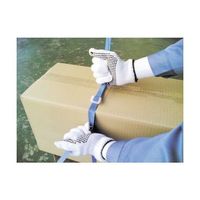 大日製罐 引締用PPバンド 19mm 青 SS-19-B 1巻 61-2795-98（直送品）