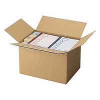 セッツカートン 無地ダンボール厚手 No.4ー2(底面LL)10枚 WF NO4-2/10マイイリ 1パック(10枚) 65-0372-66（直送品）