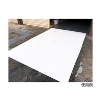 丸長商事 パワーテック 水性コート材 スベリ止め 1kg ホワイト 64-5076-36 1個（直送品）