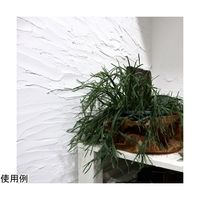 アズワン 100%オーガニックしっくい DIY NURI2 5kg ナチュラルホワイト 65-1332-10 1個（直送品）