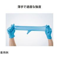 フィフティ・ヴィジョナリー ニトリルグローブ ブルー パウダーフリー L 100枚×10箱入 FV-NG-002-L 1ケース(1000枚)（直送品）