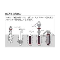 日本デコラックス ケミカルアンカー Rタイプ(ーN)(回転及び回転打撃型)穿孔深さ100 R-12N 1本 61-2167-11（直送品）