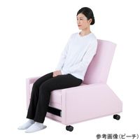 アズワン チェアベッド 730×830×940mm グレープ Chair-V 1個 9-1372-05（直送品）