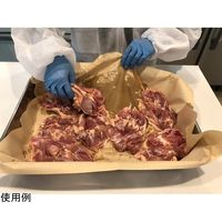 大王製紙 ドリップペーパーエコック 510×600mm 無漂白 250枚×4パック入 21000200 1箱(4パック)（直送品）