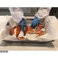 大王製紙 ドリップペーパーエコック 410×600mm 250枚×4パック入 21000197 1箱(4パック) 68-0812-56（直送品）