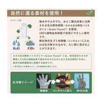 エステー モデルローブ プレミアムビオ 1ケース(12箱入) No.1300 1ケース(600枚) 68-5059-65（直送品）