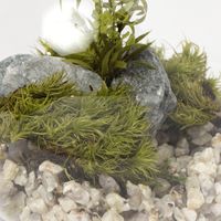 プリザーブドモス（S） グレー LAKOLE/ラコレ