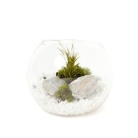 プリザーブドモス（S） ホワイト LAKOLE/ラコレ