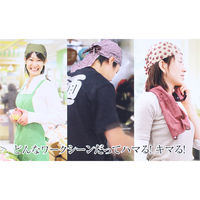 イトー 職人道楽バンダナキャップ豆和柄 市松藍浅葱 019138 1枚（直送品）