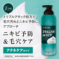 ギャツビー マイクロスパークリング泡洗顔 アクネケア 医薬部外品 200g マンダム