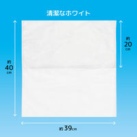エスパック 不織布フェイスカバー 100枚入 ホワイト FKW100-01-AS 1箱(100枚入)