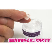 アイガーツール ミュージアムジェルミニ20g 4986449554082 1セット(1個×10)