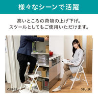 アイリスオーヤマ 折りたたみステップ3段 脚立 ダークグレー OSU-3R 1台（わけあり品）