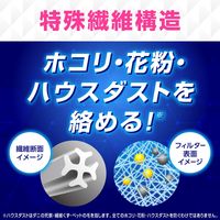 らくハピ エアコンフィルター 1個（2枚入） エアコン 掃除 貼るだけ アース製薬