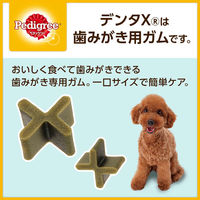 ペディグリー デンタエックス 犬用 超小型・小型犬用 カットタイプ レギュラー 80g 2袋 マースジャパン