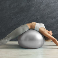 武田コーポレーション ノンバーストフィットネスボール75 NBF-75GRY 1箱(12個入)（直送品）