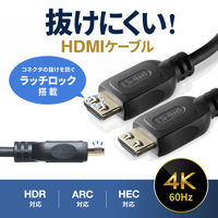 サンワサプライ ラッチ付HDMIケーブル(3m) KM-HD20-P30L 1個