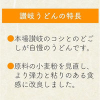 日清製粉ウェルナ 川田製麺 讃岐ざるうどん 400g×5袋 4972012796270 1セット(5袋)（直送品）