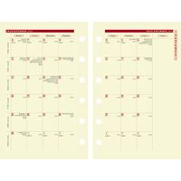 ２０２５年度１月始まりダイアリー クオバディス タイマー１４　ミニ６穴　システム手帳レフィル 1週間バーチカルタイプ IVペーパー 1冊（直送品）