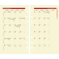 ２０２５年度１月始まりダイアリー クオバディス タイマー１７　バイブル　システム手帳レフィル 1週間バーチカルタイプ IVペーパー 1冊（直送品）